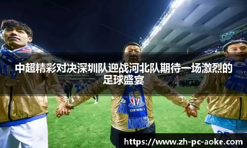 中超精彩对决深圳队迎战河北队期待一场激烈的足球盛宴